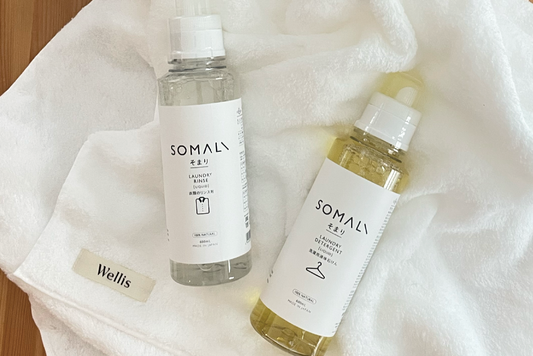 「Wellis × SOMALI」コラボギフトのご紹介