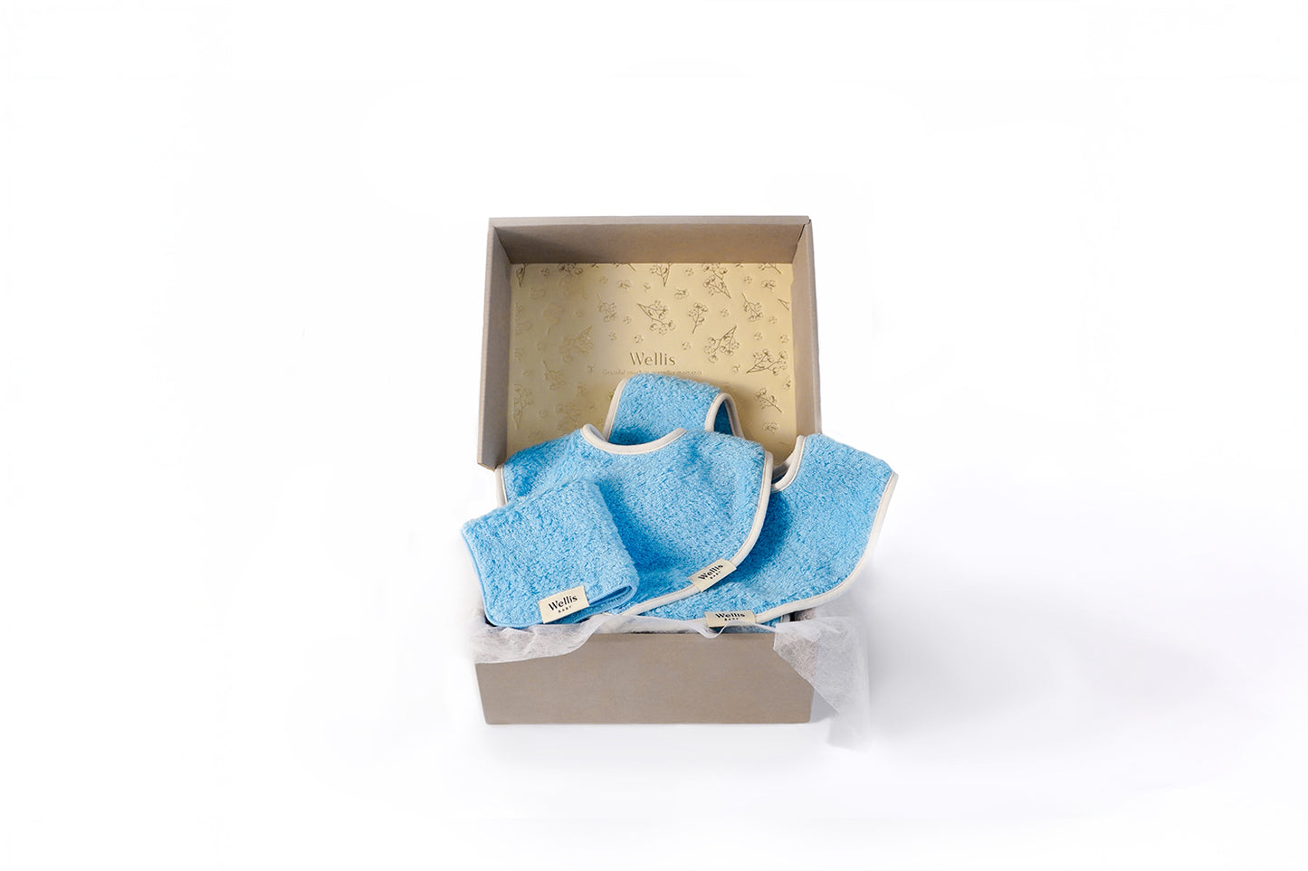 Wellis BABY Entry Box