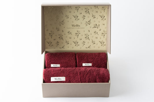 【SUMMER SALE】Wellis New life Gift