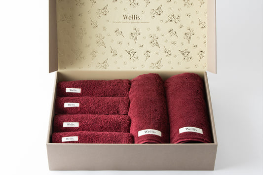 【SUMMER SALE】Wellis Necessities Gift